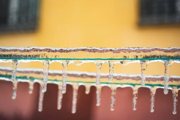Güzel buz sarkıtları sarı arka planda uzun yeşil iplerden sarkıyor. Buz fırtınası, kötü hava. Kış zamanı.