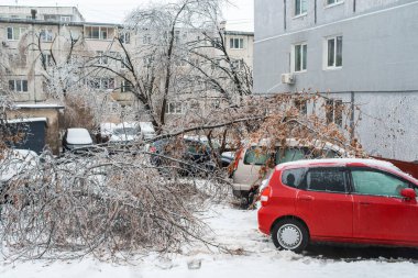 Vladivostok, Rusya - 19 Kasım 2020: Buzla kaplı ve yere eğilmiş ağaçlar. Rüzgarla kırılan ağaçların dalları arabaların üzerine düştü. Kışın şehir. Buz fırtınası.