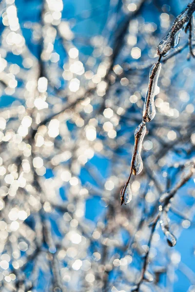 Winter weather. Natural Christmas background. — Stock Photo, Image