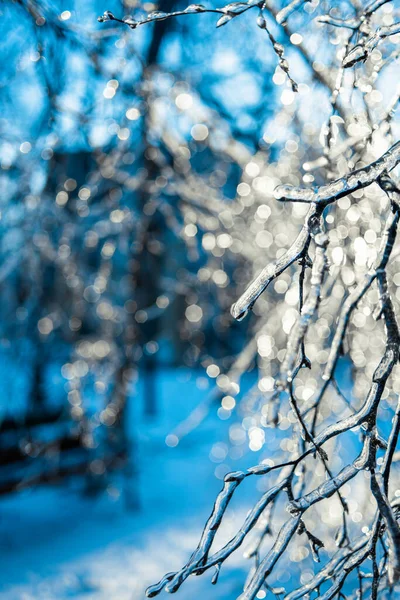 Winter weather. Natural Christmas background. — Stock Photo, Image