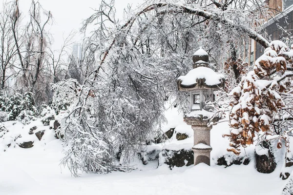 Japanese rock garden after a winter ice storm.