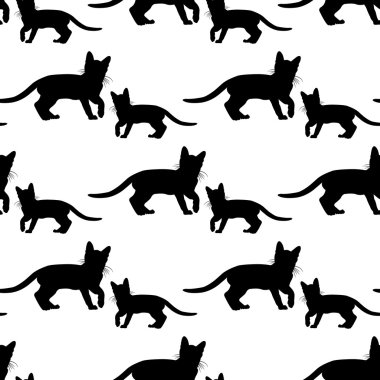 Beyaz üzerine siyah kedi ile Seamless Modeli