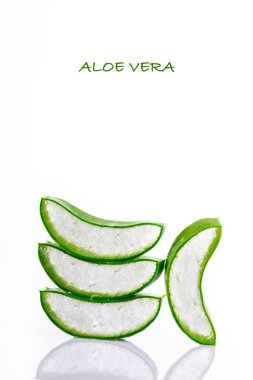 Beyaz arka planda izole edilmiş taze aloe vera.