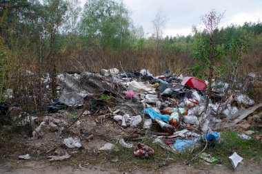 Doğadaki çöpler. Ormana atılan çöpler. Çevre kirliliği. Ormana dökülüyor..