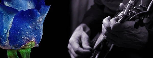 Guitarist Hands Guitar Close Playing Electric Guitar Blue Rose Water — Stock Photo, Image