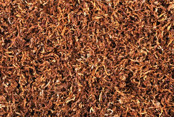 Száraz Vágott Dohány Levél Textúra Háttér — Stock Fotó