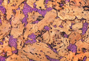 Mantar ahşap kaplama arka planı. en üstteki görünüm