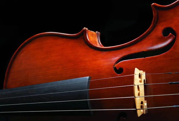 Bonito Violino Close Fundo Preto — Fotografia de Stock