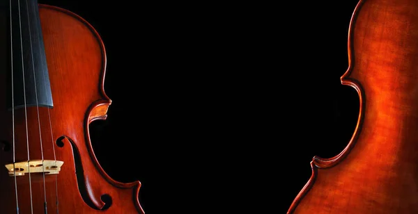 music concept. violins on a black background. violin body front and back. copy space