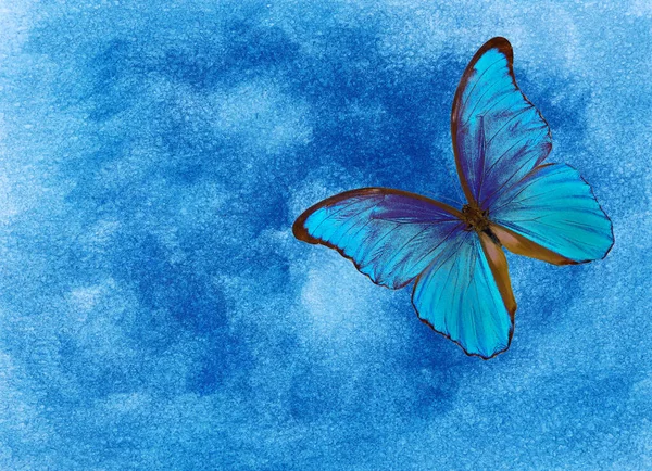 水彩画上的蓝色蝴蝶模糊了背景 — 图库照片