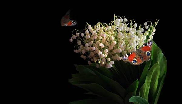 Strauß Maiglöckchen Und Leuchtend Rote Schmetterlinge Auf Schwarzem Grund Kopierraum — Stockfoto