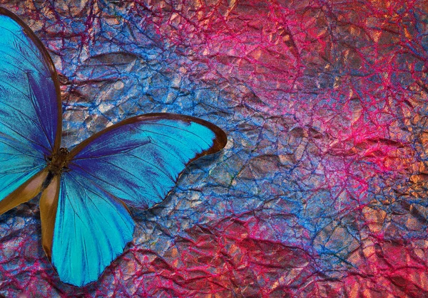 Сині Морфо Метелики Яскравому Сяючому Фоні Фон Золотою Синьою Рожевою — стокове фото