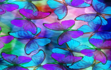 Soyut bulanık arkaplanda renkli morpho kelebekleri. Mavi ve mor soyut arkaplan.