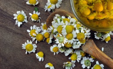 Tahta kaşıkta papatya çiçeği ve bir fincan papatya çayı. yaz bitkisel çayı