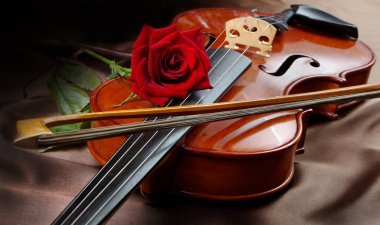 İpek arka planda keman ve kırmızı gül. Kapat.