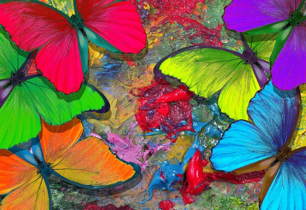 무지개 예술가의 팔레트에 나비가 그려져 물감과 나비의 — 스톡 사진