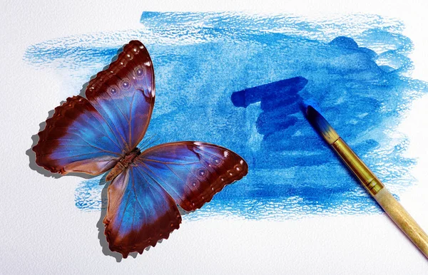 Art Concept Watercolor Paper Blue Paint Brush Blue Tropical Butterfly — 图库照片