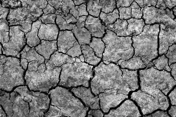 Trockene Rissige Erde Hintergrund — Stockfoto