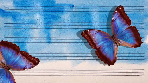 Papillons Notes Bleu Morpho Mélodie Papillon Photo Vieilles Partitions Aquarelle — Photo