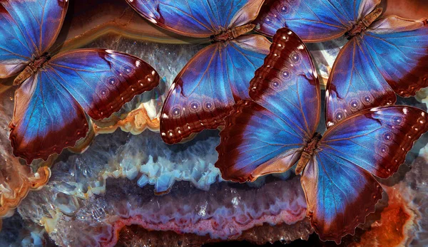 Klarblå Tropiska Morfin Fjärilar Bakgrunden Färgglada Opal Sten — Stockfoto