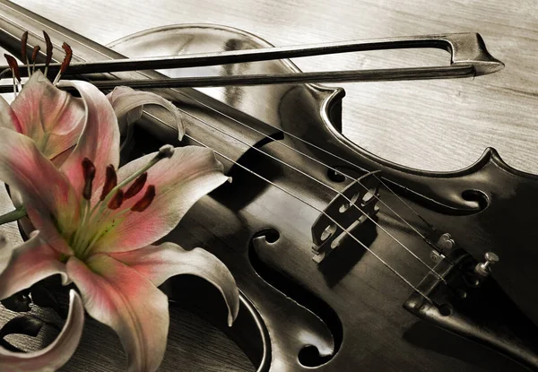 小提琴与美丽的粉红百合花做的弓 — 图库照片