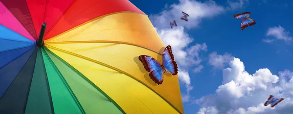 Koncepcja Lata Dobra Koncepcja Pogody Kolory Tęczy Kolorowy Parasol Tęcza — Zdjęcie stockowe