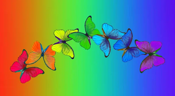 Rainbow Spectrum Colors Rainbow Multicolored Morpho Butterflies Multicolored Natural Abstract — Stock Photo, Image