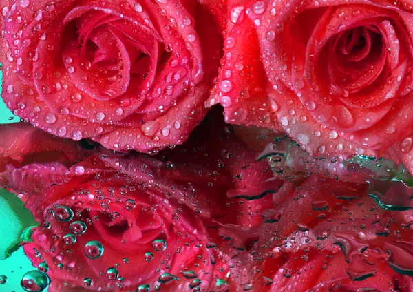 Růžové Růže Kapkách Vody Zrcadlovém Povrchu Zavřít — Stock fotografie