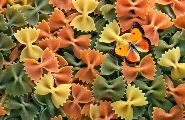 모양의 이탈리아 파스타와 오렌지색 색깔있는 파스타 위에서 파스타 — 스톡 사진