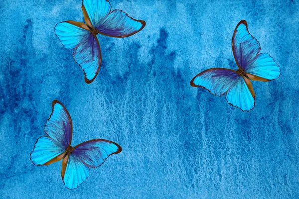 Papillons Morpho Bleus Abstrait Fond Bleu Aquarelle Fond Abstrait Bleu — Photo