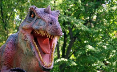 Dinozor tyrannosaurus rex. Dinozorun yüzünü yakından çek. Ormandaki Tyrannosaurus. Parktaki dinozor modeli..