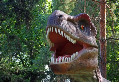 Dinozor tyrannosaurus rex. Dinozorun yüzünü yakından çek. Ormandaki Tyrannosaurus. Parktaki dinozor modeli..