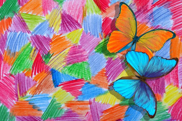 Dessin Abstrait Avec Crayons Couleur Sur Papier Papillons Morpho Tropical — Photo