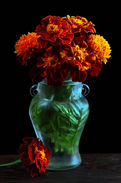 Tagetes Bouquet Marigolds Glass Vase Black Background — Stock Photo, Image