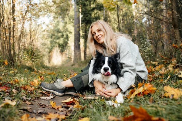 Szczęśliwa Kobieta Czarno Biały Pies Graniczny Collie Jesiennym Lesie — Zdjęcie stockowe