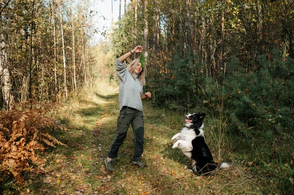 Glad Kvinna Leker Med Svartvita Gränsen Collie Hund Höstskogen — Stockfoto