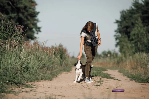 Dziewczyna Szkolenie Czarny Biały Granica Collie Pies Szczeniak — Zdjęcie stockowe