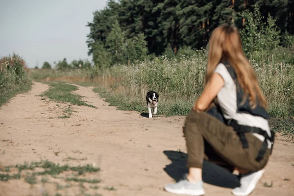 Dívka Školení Černošky Bílé Okraje Kolie Pes Štěně — Stock fotografie