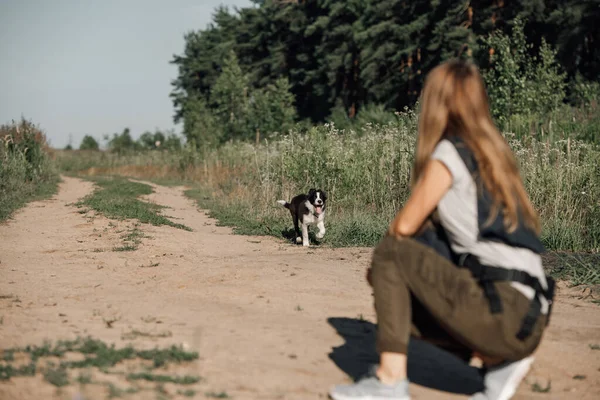 Dívka Školení Černošky Bílé Okraje Kolie Pes Štěně — Stock fotografie