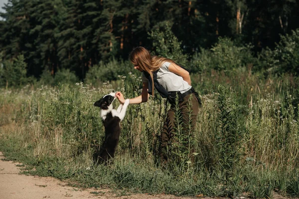 Dziewczyna Szkolenie Czarny Biały Granica Collie Pies Szczeniak — Zdjęcie stockowe