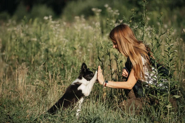 Dívka Školení Černošky Bílé Okraje Kolie Pes Štěně — Stock fotografie