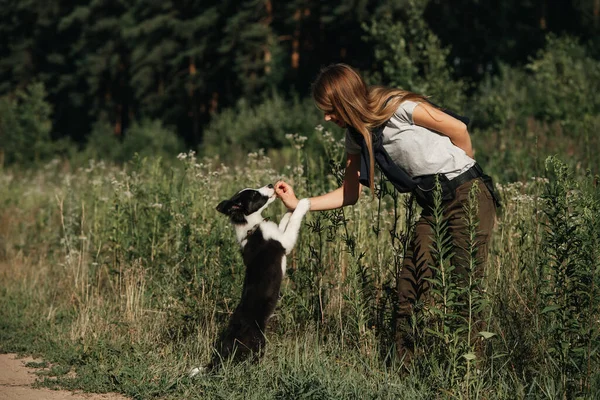 Dziewczyna Szkolenie Czarny Biały Granica Collie Pies Szczeniak — Zdjęcie stockowe