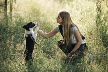 Siyah-beyaz sınırda çoban köpeği eğiten bir kız.