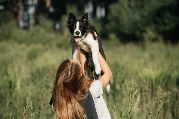 Chica Sosteniendo Sus Manos Negro Blanco Frontera Collie Perro Cachorro — Foto de Stock