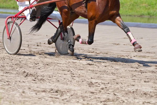 Rider on a horse race — Stock Photo, Image