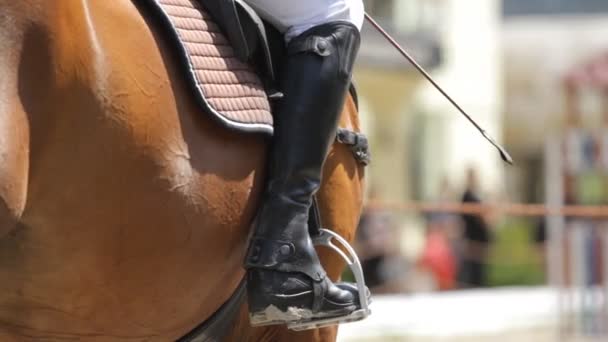 Bota de equitação de jockey — Vídeo de Stock