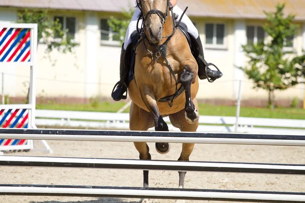 Cheval sauter un obstacle — Photo