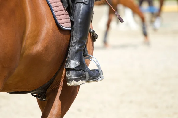 Paseos a caballo Dressage —  Fotos de Stock