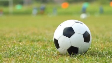 Yeşil çimlerin üzerinde futbol topu 