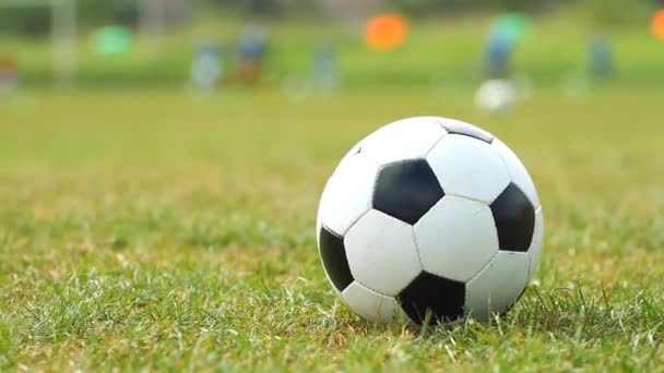 Футбольный мяч на зеленой траве — стоковое видео